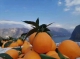 f_279fc895370fdfbb734330e096ff35eb.jpeg