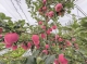 f_c6aab61b27a2977ee2ee10d80f4cc497.jpeg