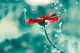 f_55c4446b643c210bd64f293fa6e60358.png