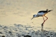 微信图片_20200215085821
