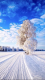 f_358acfaa7c274dca1ab0da91eb131eef.png