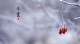 f_ff54e7839a07a7c220799978e22c9bee.png