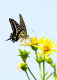 f_67d8a766cd15b95470eb4b8c8aecf447.png