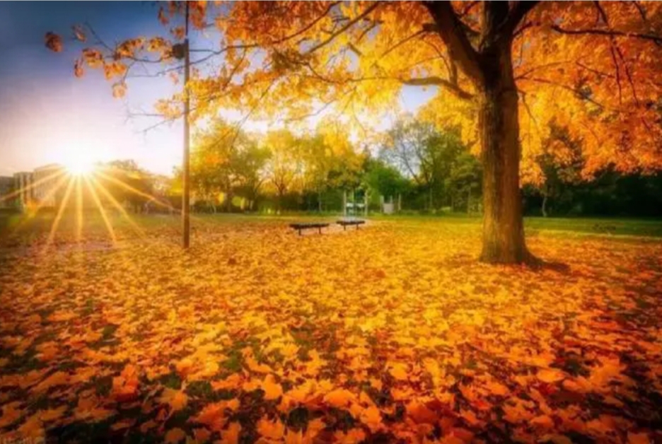 微信图片_20221129085935