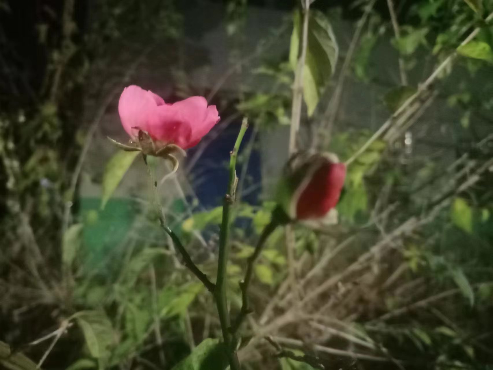 微信图片_20221130211550