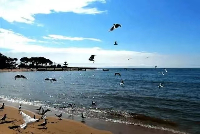 微信图片_20230208124547