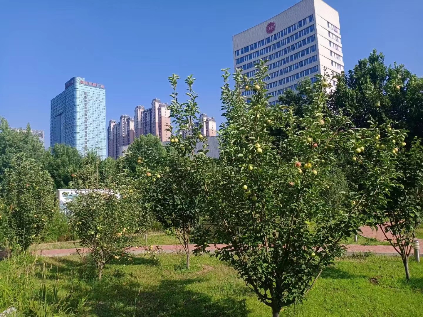 微信图片_20230306212858