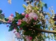 微信图片_20230409104535