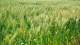 t0150a4b7545ca424d9