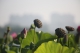 IP0A2987.JP