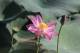 9月8日照片 016