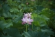 _P0A2961.JP