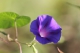 9月8日照片 011