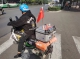 微信图片_20231019073412