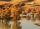 f_553d3f543eb8ef58e32ed7285ea09fdf.jpeg