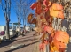 f_8536aeb08c5a31826a6f96d5d055cdb2.jpeg