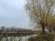 f_5ed523d0ab45cba07cf41f4acae5c7a4.jpeg