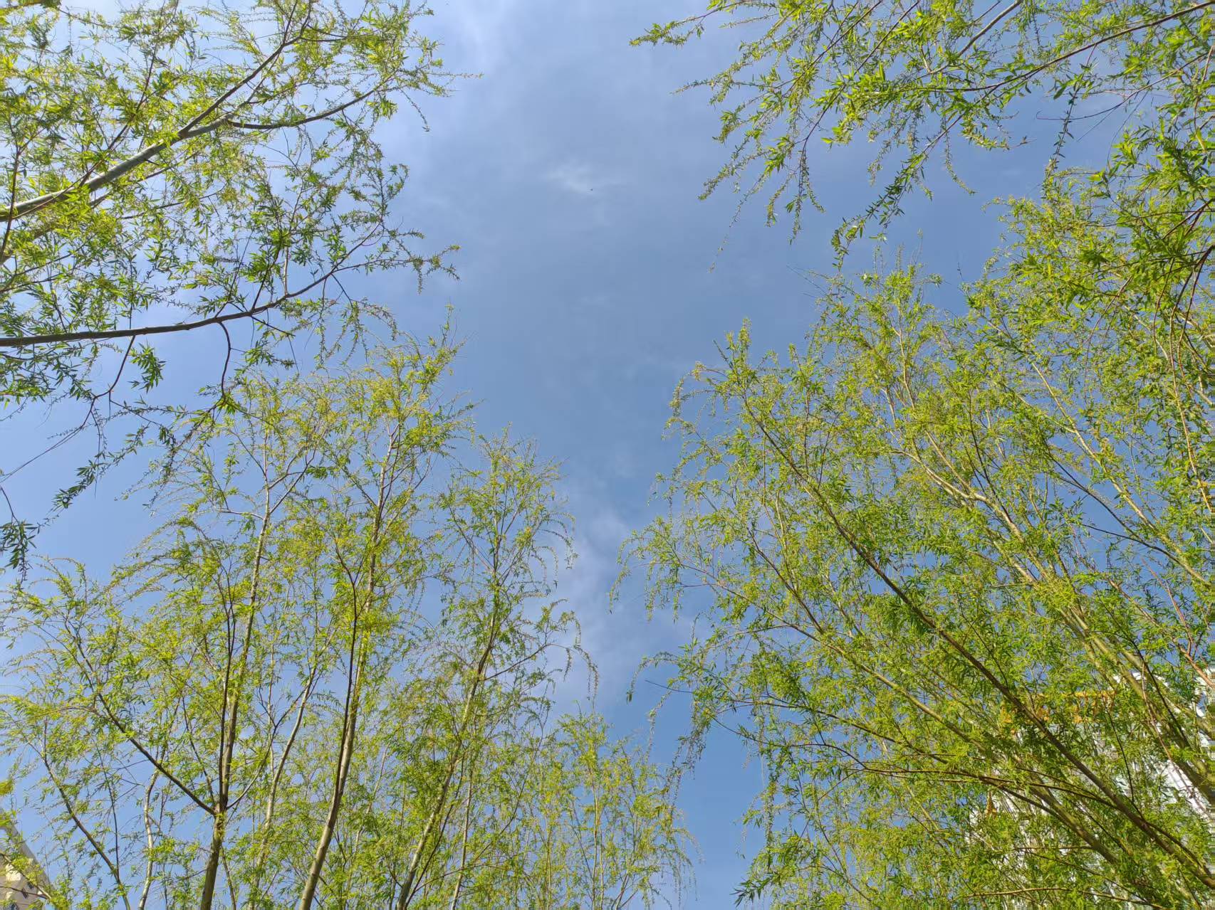 f_07bc24b00e1796037bb45fd7dae61c01.jpeg