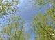 f_07bc24b00e1796037bb45fd7dae61c01.jpeg