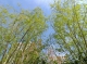 f_a1845ae2f557ca23c298fe0c80c804cb.jpeg