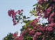 f_50d6494e99ade476dc3e16d6613aafa6.jpeg