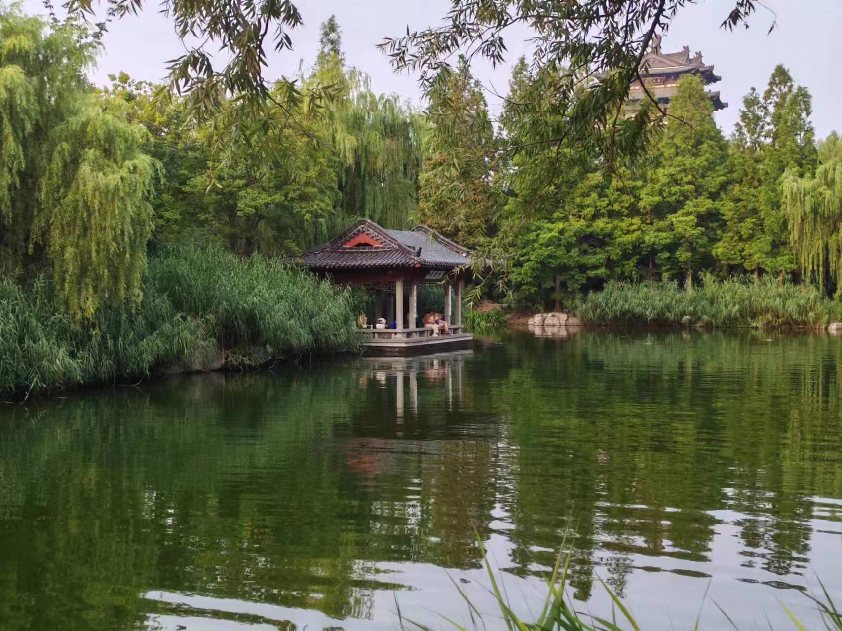 微信图片_20240713121929