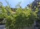 f_8dffbb42a1209581ae2a1aeae9f0365a.jpeg