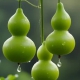 f_586e7e577a3f56fc926362b8c4db2b32.jpeg