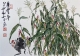 f_94efba953c59acb0bdd763d179d35c96.jpeg