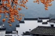 f_aa8735d42ba46b7bc498c25d3f70d2c6.jpeg