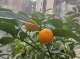 f_4f21cffe8cf8a38d120d79e19ccd0181.jpeg