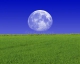 f_212cdb8ef681290e7e1fbf7e3001f958.jpeg