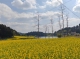 f_329f30282d5c2268e017c6b6d2ae079a.jpeg