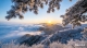 f_5035488cb5ca282ff77d26098ce30f74.jpeg