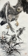 f_6695aa505ebdacb2e9b1d72cc852e98a.jpeg